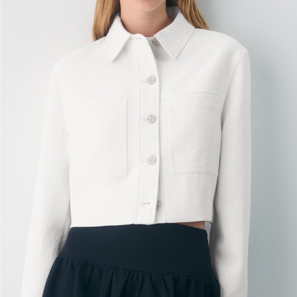 Aritzia Little Cropped Blazer